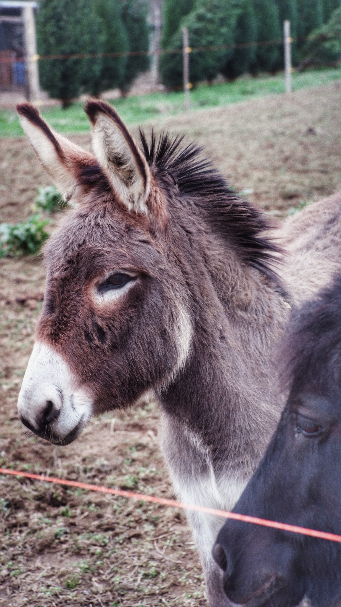 2024_0201_15344400 01.jpeg