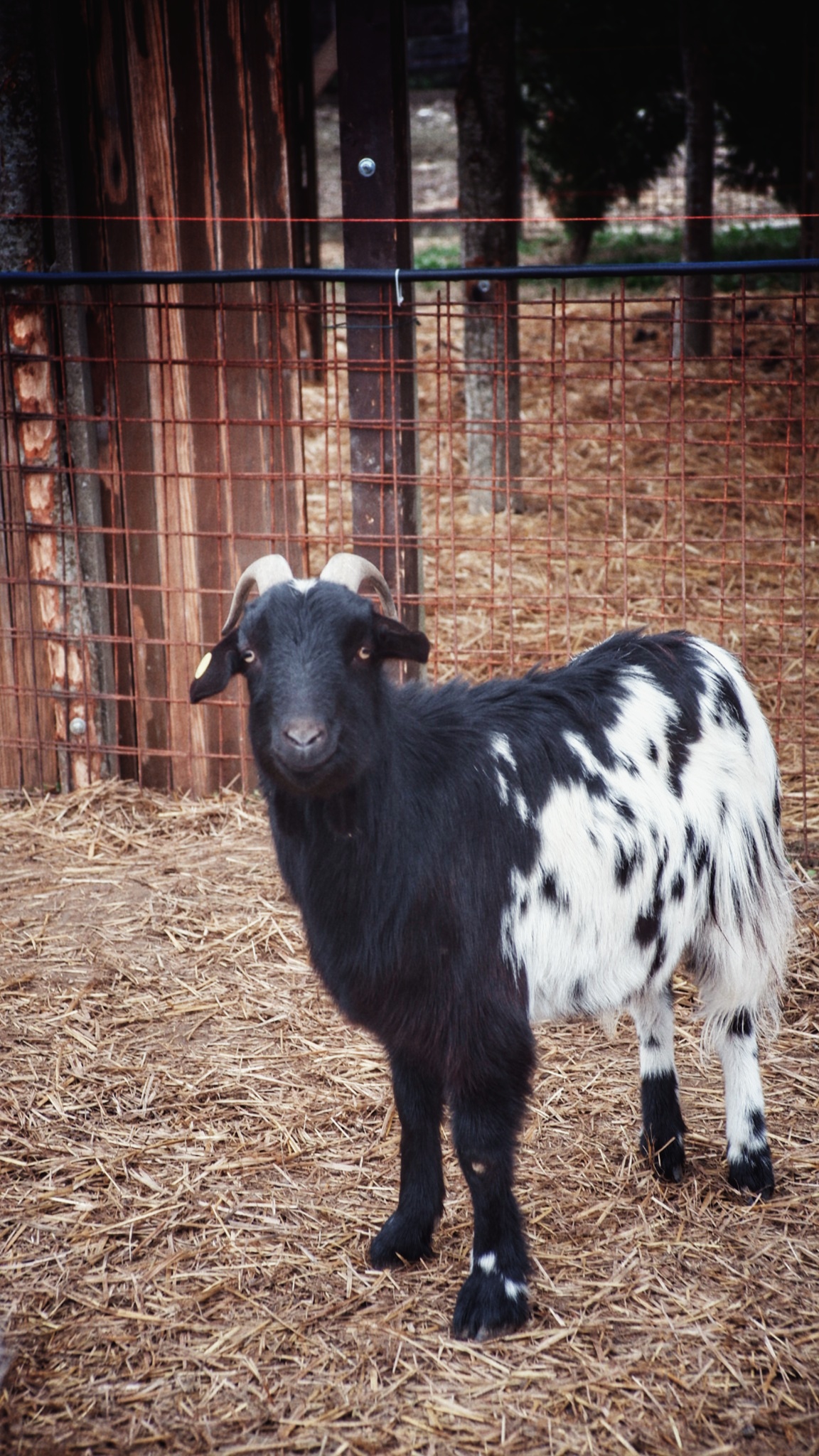 2024_0201_15373000 01.jpeg